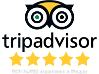 TOP-RATED Experience-2