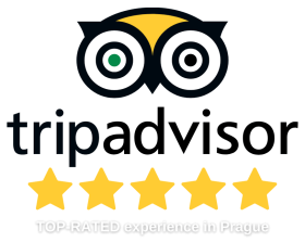 TOP-RATED Experience-2