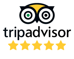 TOP-RATED Experience-6